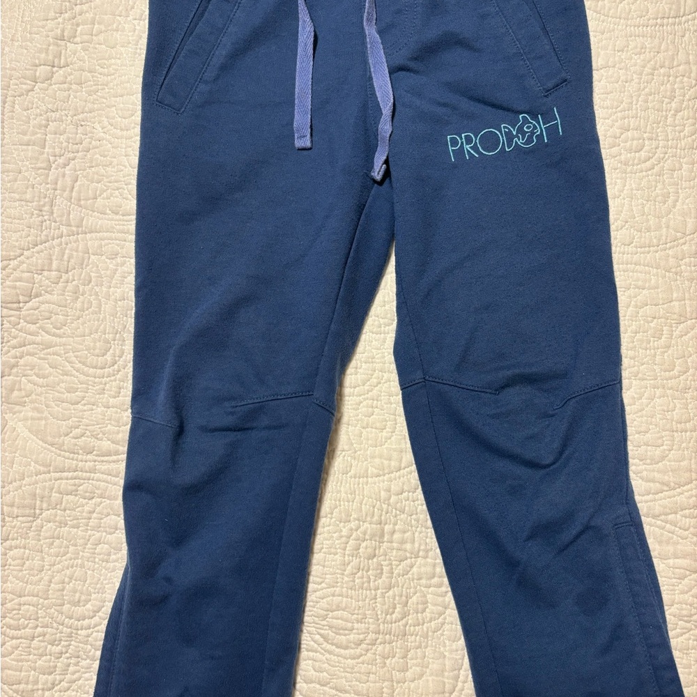 Blue PRODOH Sweatpants size 4T- GUC